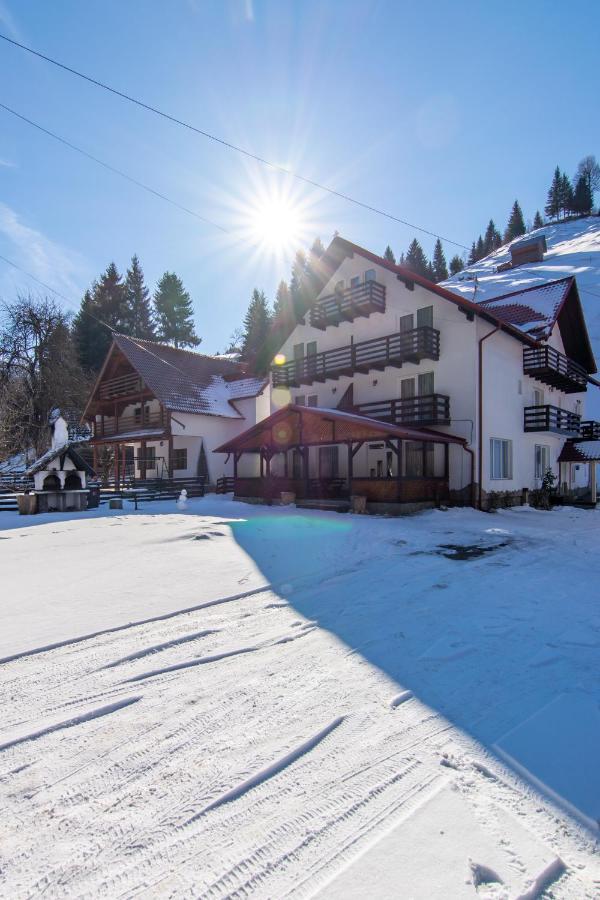Vila Mesteacanul Moeciu De Sus Dış mekan fotoğraf