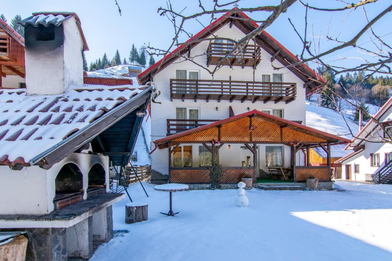 Vila Mesteacanul Moeciu De Sus Dış mekan fotoğraf